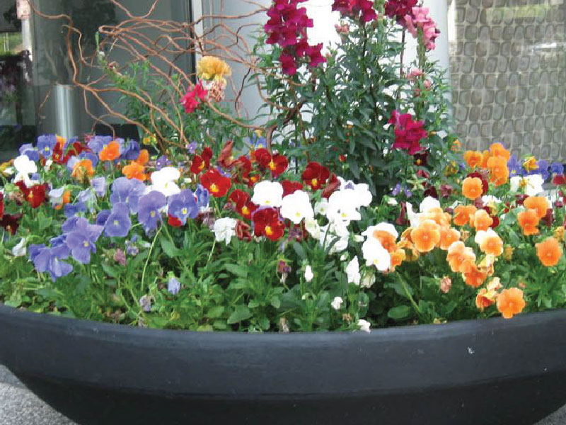 Spring Container