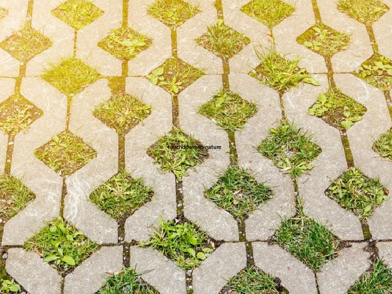 Ditch the Asphalt and Go Green with Permeable Parking Solutions!