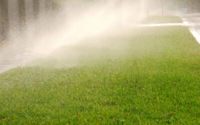 Experience Intelligent Watering with Hydrawise – The Future of Irrigation