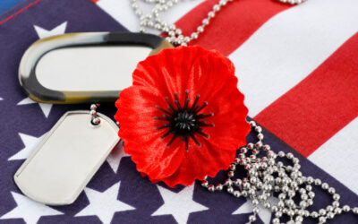 Honoring Memorial Day & the History of the Poppy