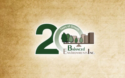 Celebrating 20 Years of Growth with Balanced Environments, Inc.