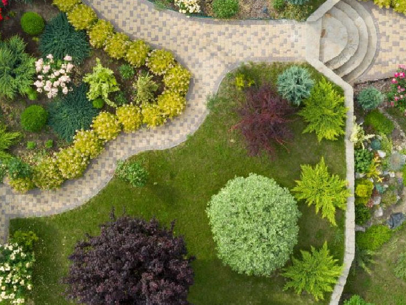 2024 Vision: Transform Your Landscape with Expert Color Rotations!