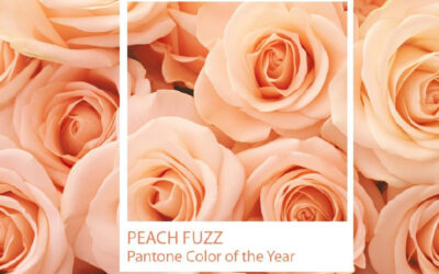 Peach Perfection: A Landscape Infused with the Color of the Year!