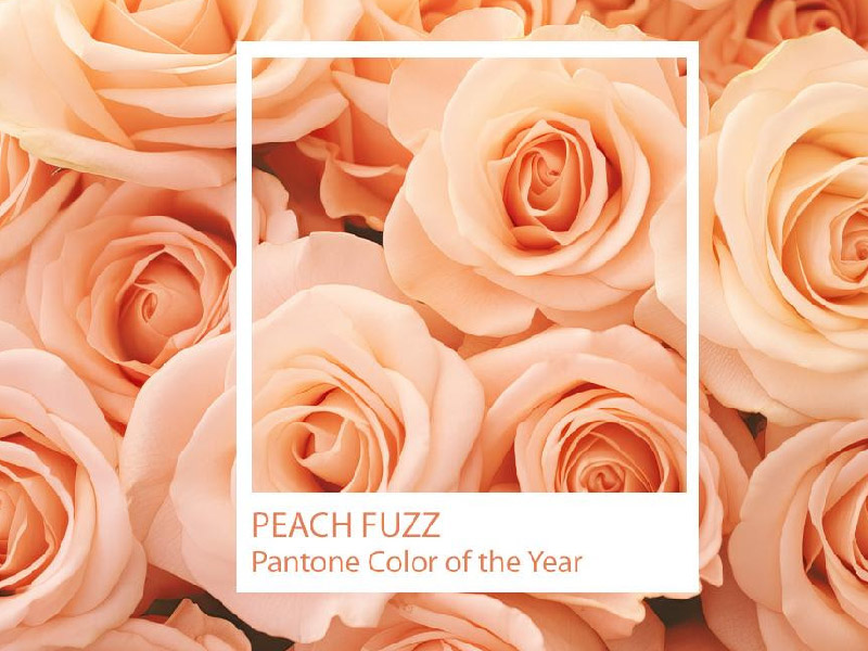 Peach Perfection: A Landscape Infused with the Color of the Year!